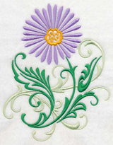 Aster Filigree