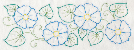 Blooming Morning Glory Border (Vintage)