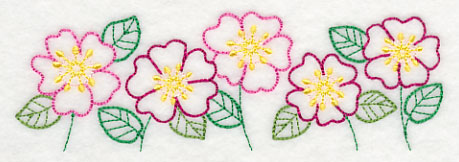 Bright Prairie Rose Border (Vintage)