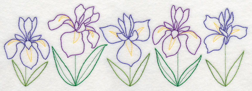 Graceful Iris Border (Vintage)