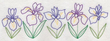 Graceful Iris Border (Vintage)