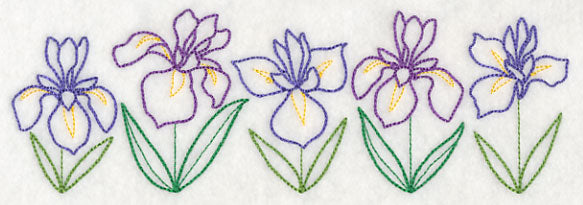 Graceful Iris Border (Vintage)