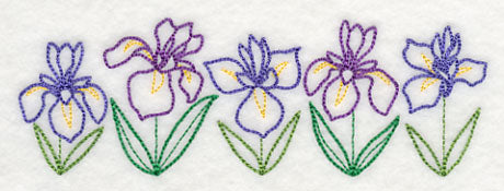 Graceful Iris Border (Vintage)