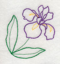 Graceful Iris Corner (Vintage)