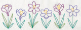 Springtime Crocus Border (Vintage)