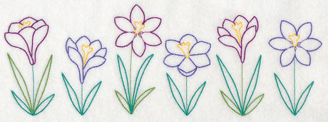 Springtime Crocus Border (Vintage)