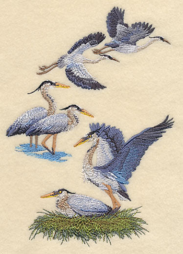 Great Blue Heron Collage