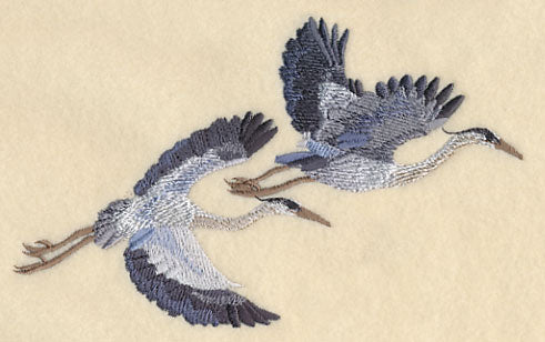 Great Blue Herons in Flight