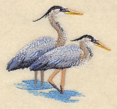 Great Blue Herons Wading