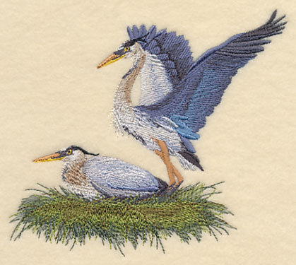 Great Blue Herons Nesting