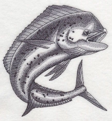 Mahi Mahi Sketch