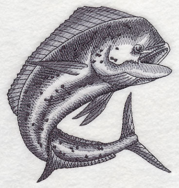 Mahi Mahi Sketch