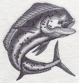 Mahi Mahi Sketch