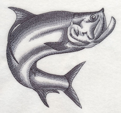 Tarpon Sketch