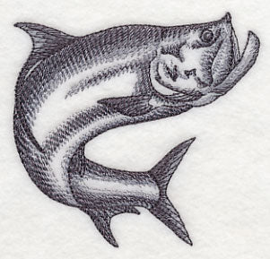 Tarpon Sketch