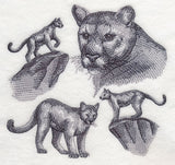 Mountain Lion Sketch