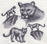 Mountain Lion Sketch