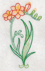 Freesia (Vintage)