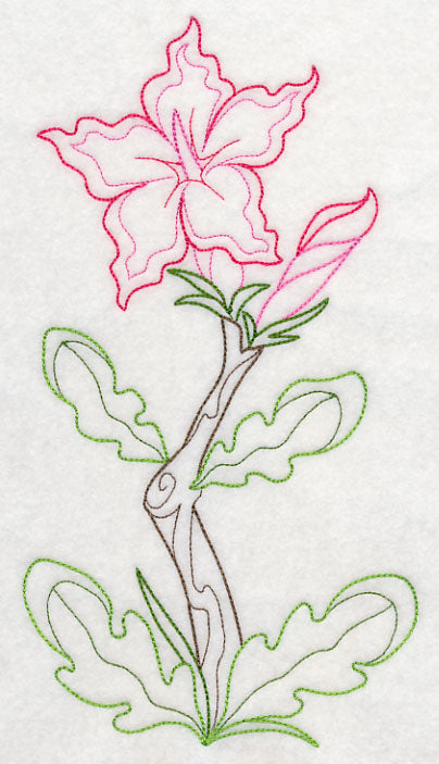 Impala Lily (Vintage)