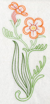 Jamesbrittenia Aurantiaca (Vintage)