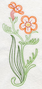 Jamesbrittenia Aurantiaca (Vintage)