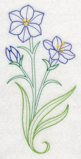 Aristea Africana (Vintage)