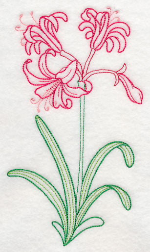 Guernsey Lily (Vintage)