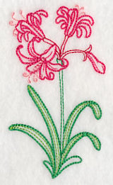 Guernsey Lily (Vintage)