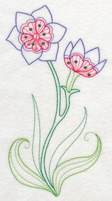 Geissorhiza (Vintage)