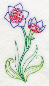 Geissorhiza (Vintage)