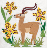 Impala and Tiger Orchid