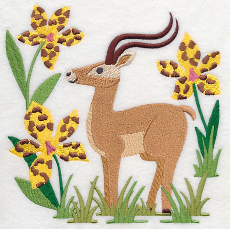 Impala and Tiger Orchid