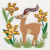 Impala and Tiger Orchid