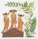 Meerkats and Savanna Plants