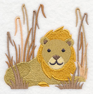 Lion in Savanna Grass