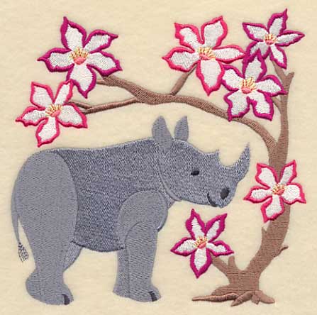 Rhino and Impala Lily