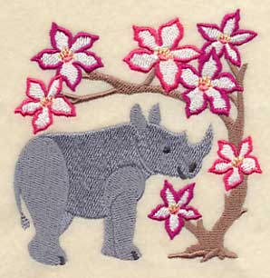 Rhino and Impala Lily