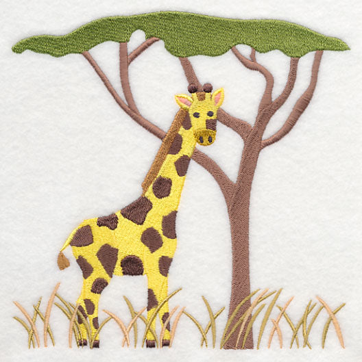 Giraffe and Acacia Tree