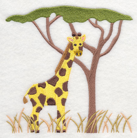 Giraffe and Acacia Tree