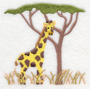 Giraffe and Acacia Tree