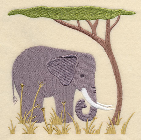 Elephant and Acacia Tree