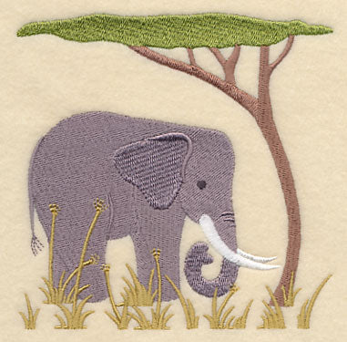 Elephant and Acacia Tree