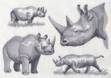 Rhinoceros Sketch