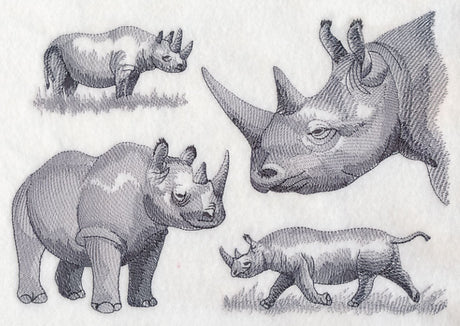 Rhinoceros Sketch