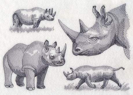 Rhinoceros Sketch