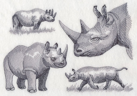 Rhinoceros Sketch