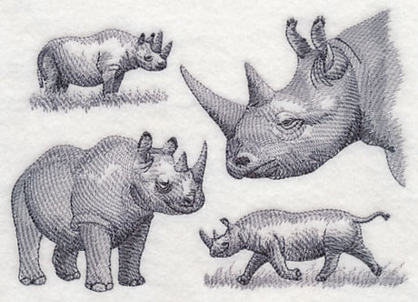 Rhinoceros Sketch