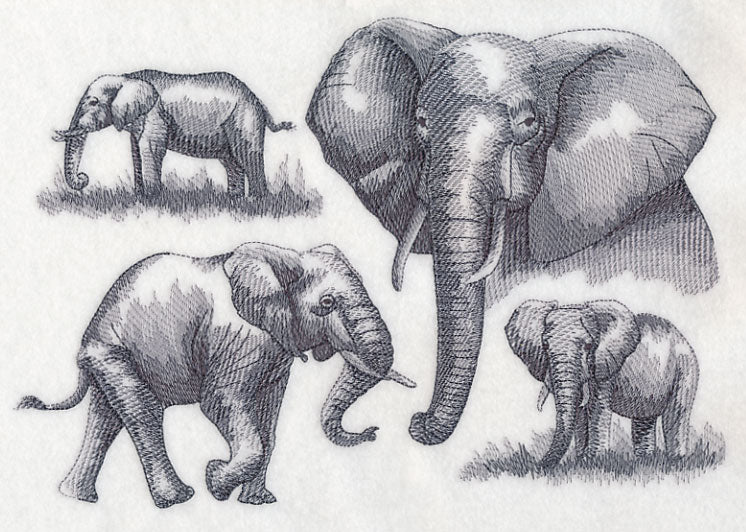 Elephant Sketch