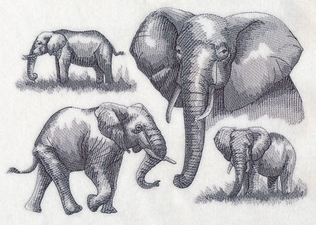 Elephant Sketch
