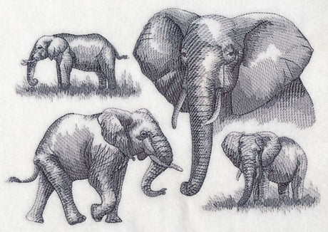 Elephant Sketch